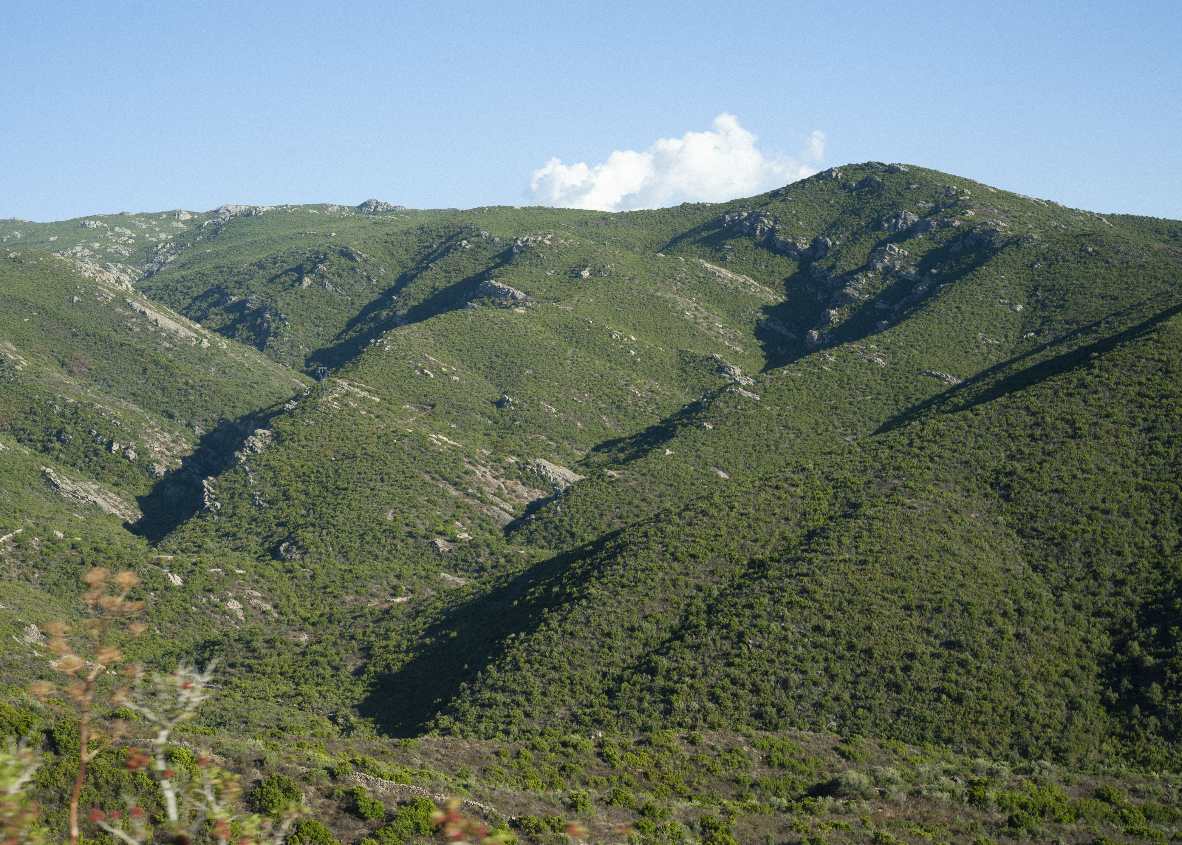 Image of Corsica